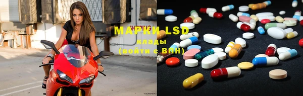 PSILOCYBIN Медвежьегорск