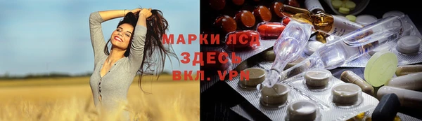крисы Апатиты