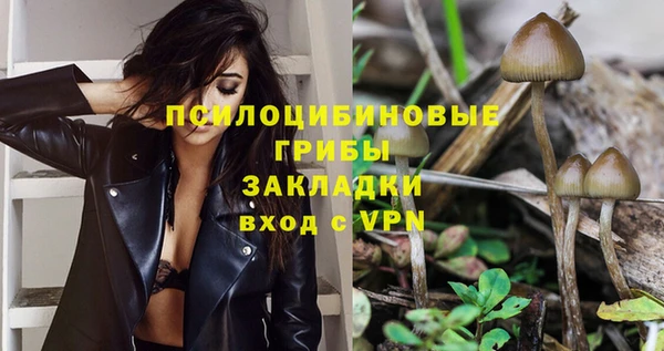 PSILOCYBIN Медвежьегорск