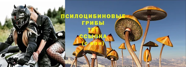 альфа пвп Медногорск