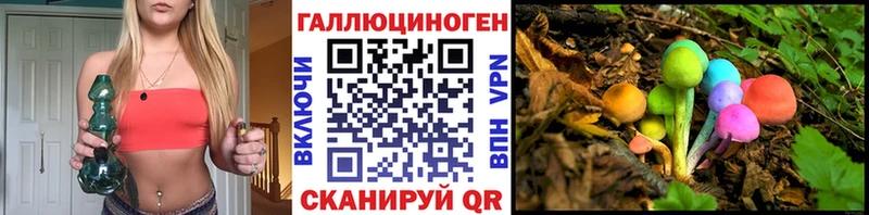 Псилоцибиновые грибы Psilocybe  Ессентукская 